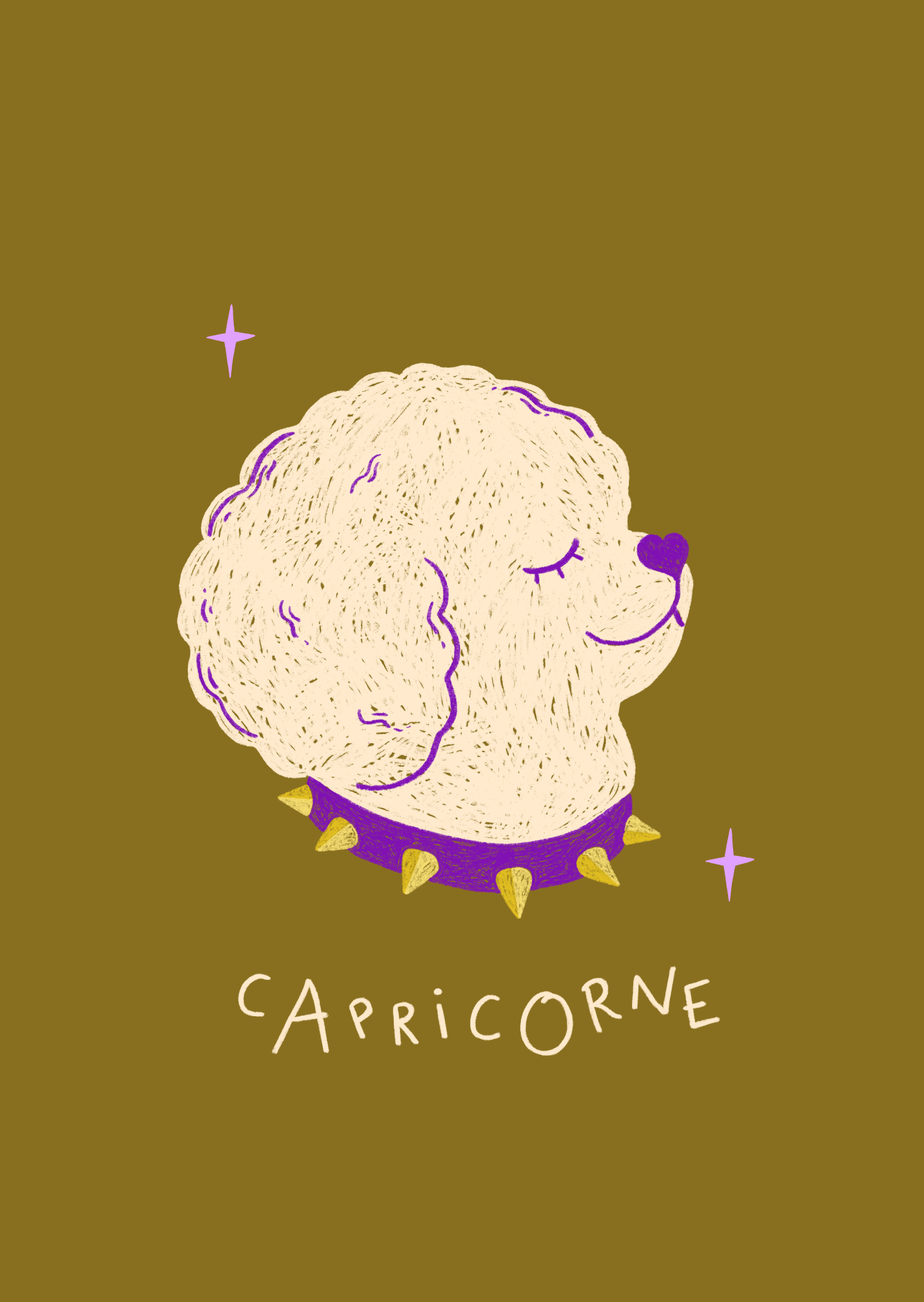 Illustration Capricorne