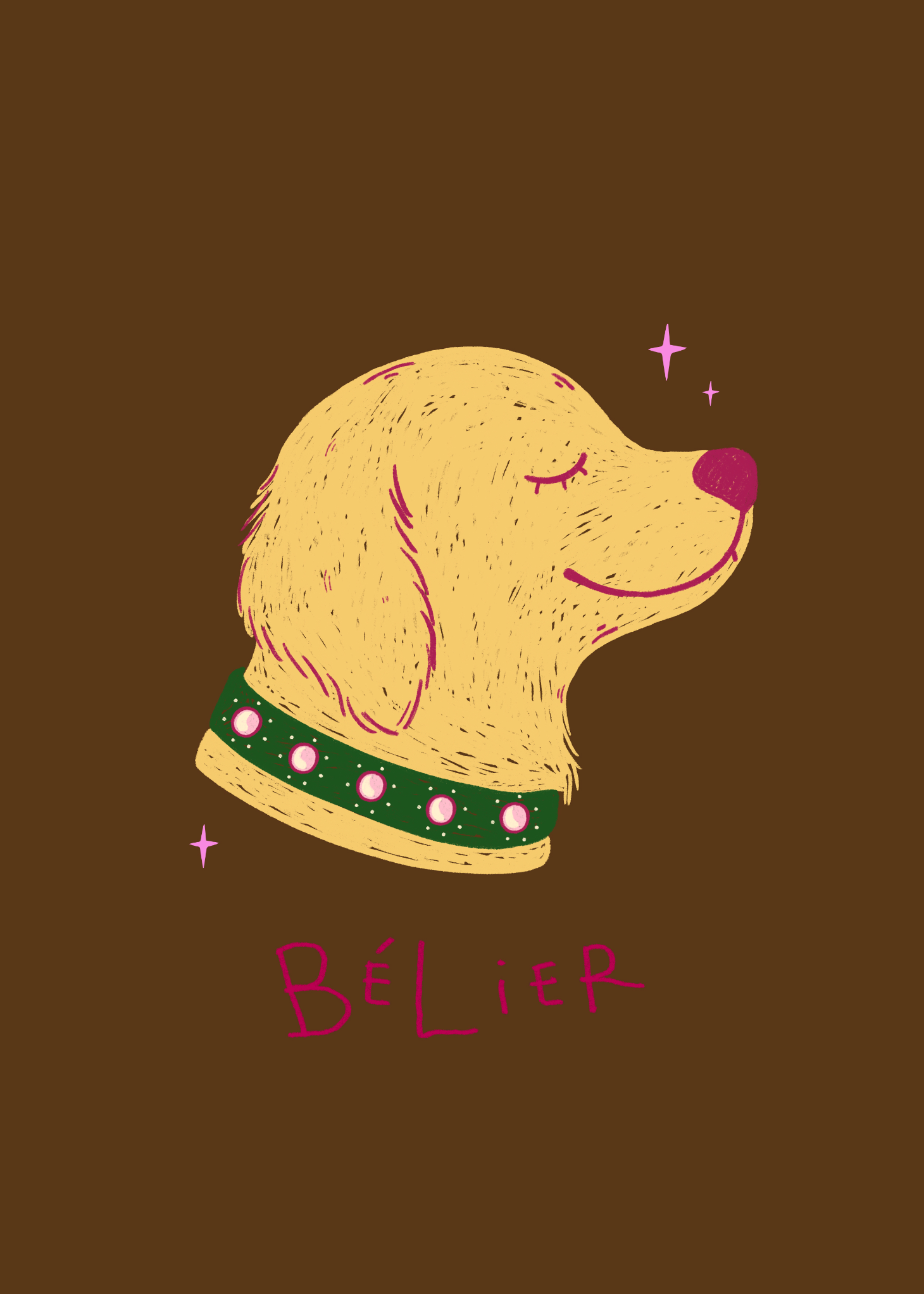 Illustration Bélier